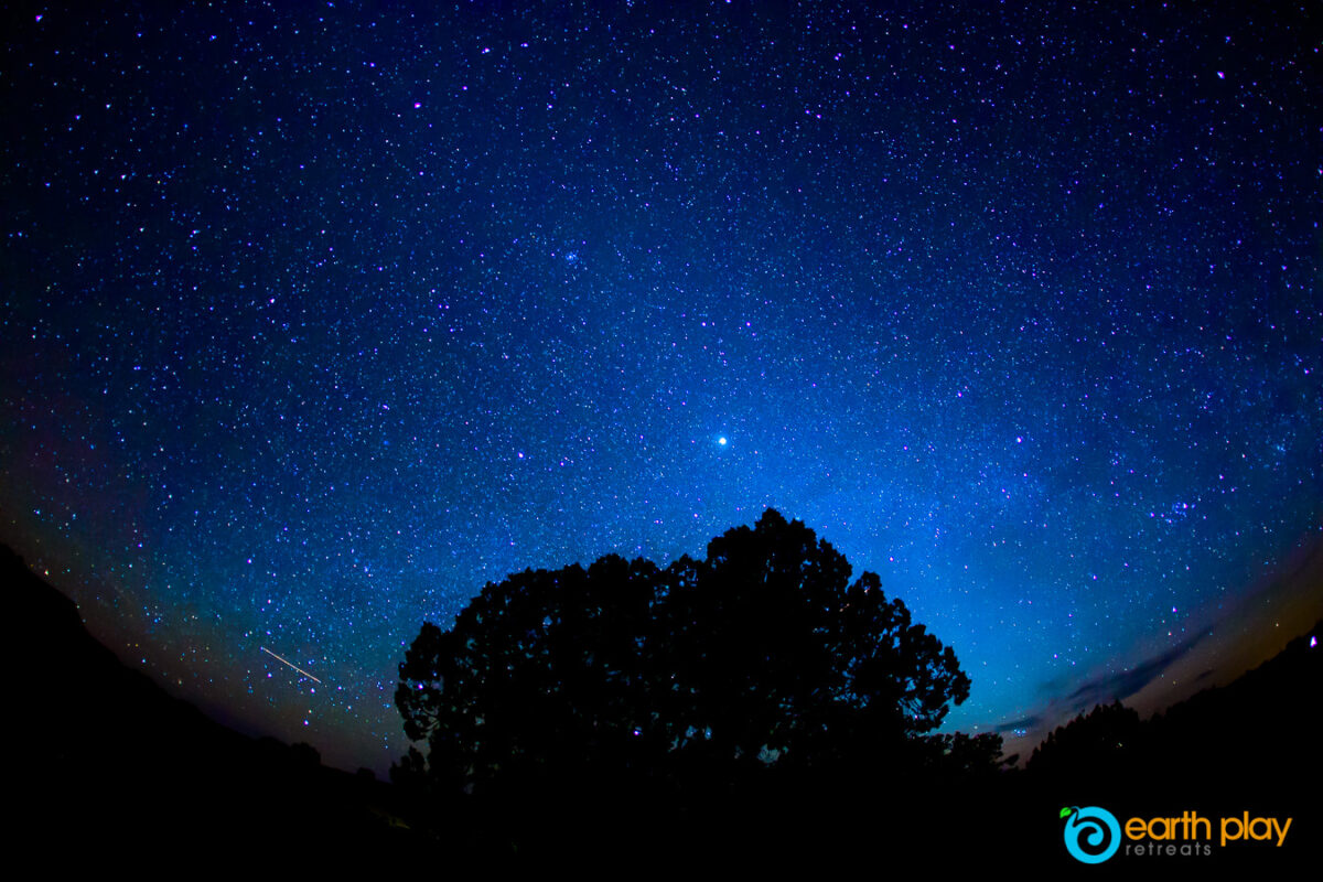 Night and a tree in Indian Creek