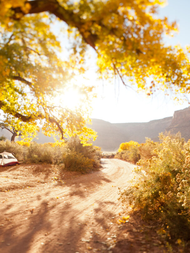 Women's Crack Climbing Retreat in Indian Creek