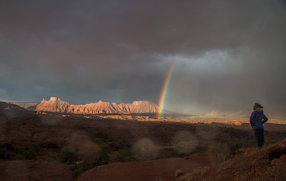A vista in Indian Creek
