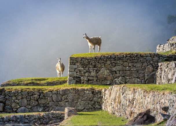 Guided Tour of Machu Picchu by Train, Peru