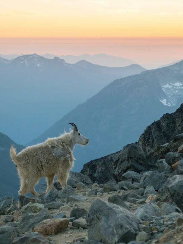 Light Backpacking in the North Cascades, Washington