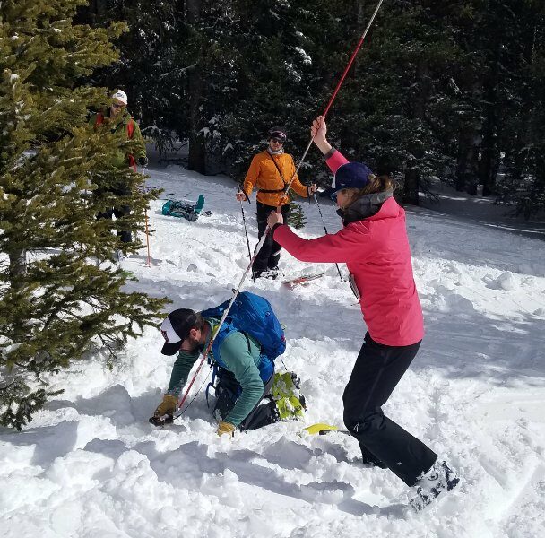 Avi Companion Rescue Course near Seattle, Washington