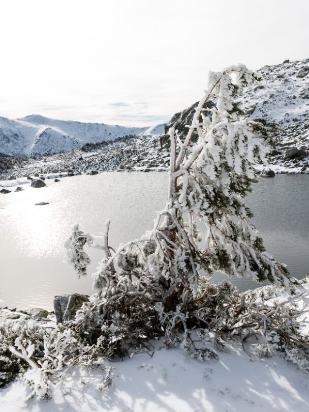 Snowshoeing in Sierra de Guadarrama National Park, Spain