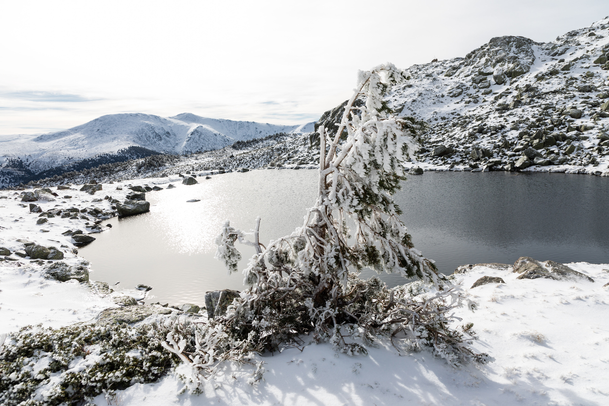 Scenery in Sierra de Guadarrama National Park