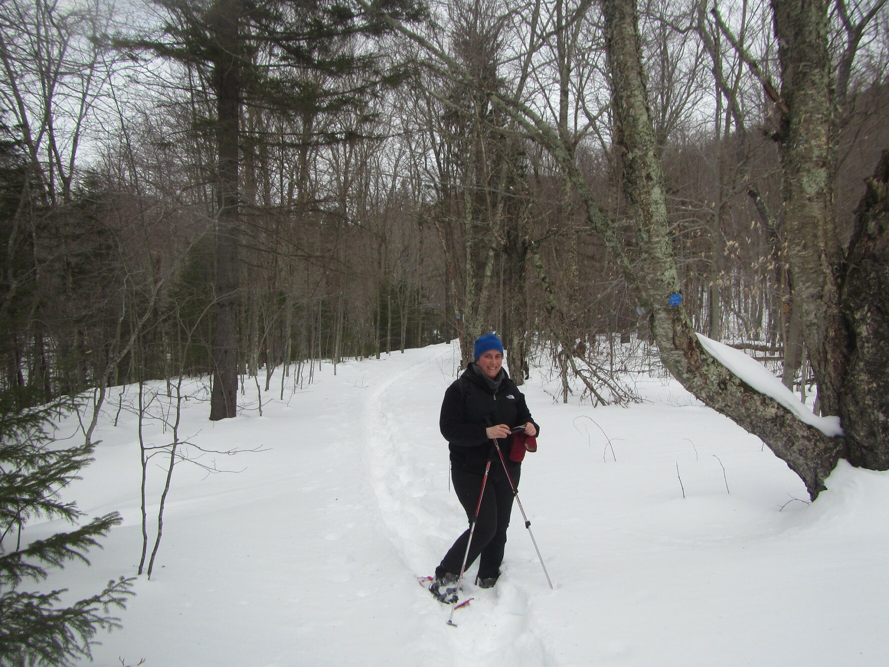 Snowshoer in the Catskill Mountains, New York