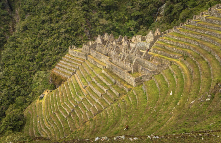 The Inca ruins of Wiñay Wayna, the favorite highlight for many hikers.