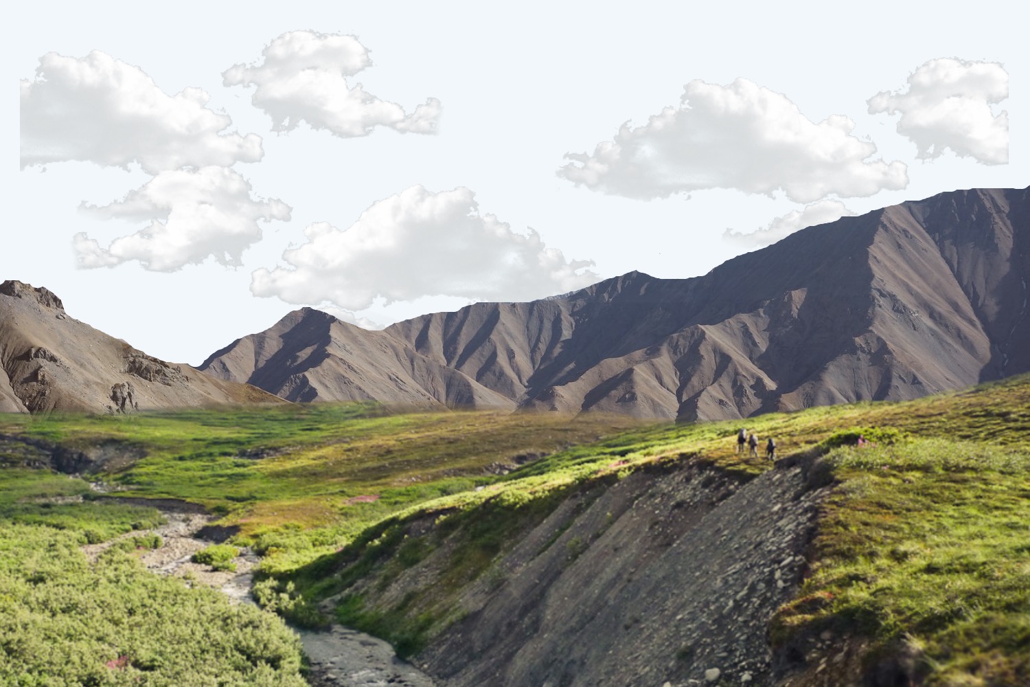 Hiking in the hills of Denali.