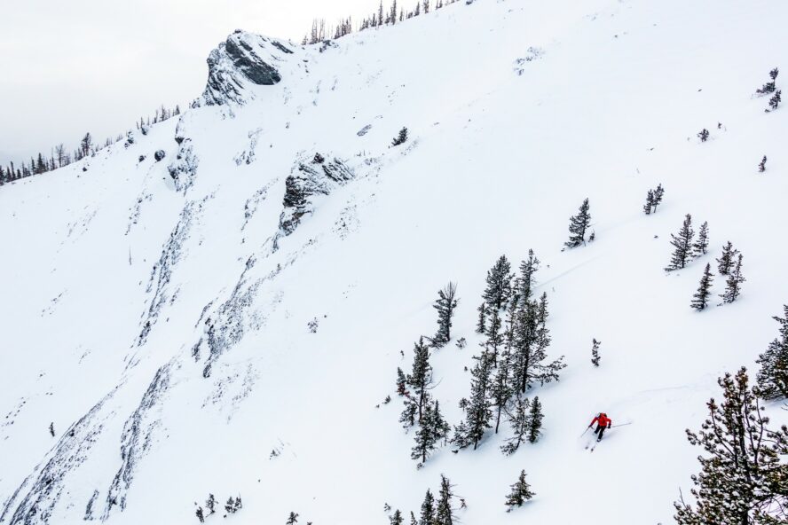 A skier shreds fresh powder through glades on the Wapta Traverse, which runs through both the Wapta and Waputik Icefields.