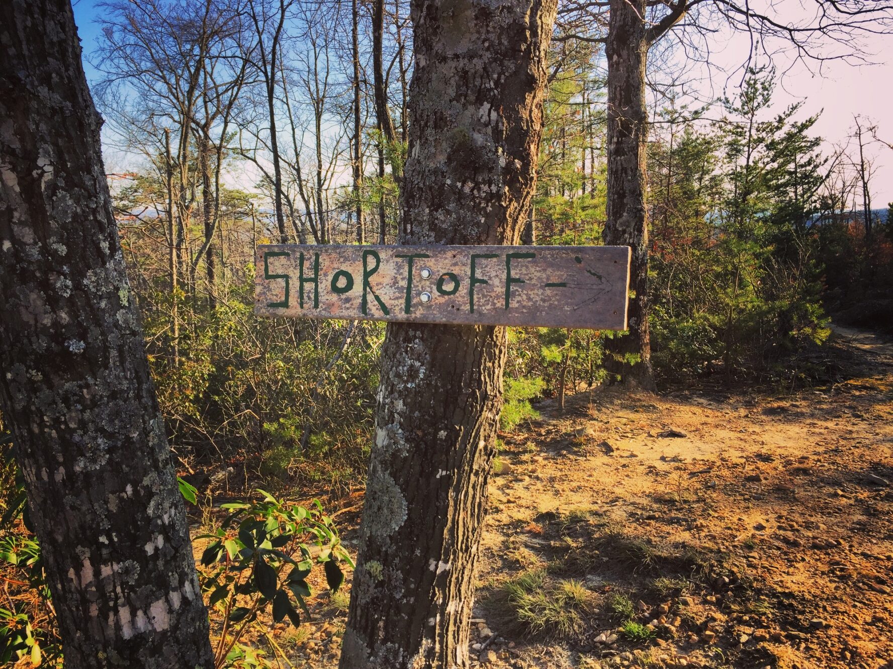 The carved wooden marker that directs you towards Shortoff Mountain in Linville Gorge.