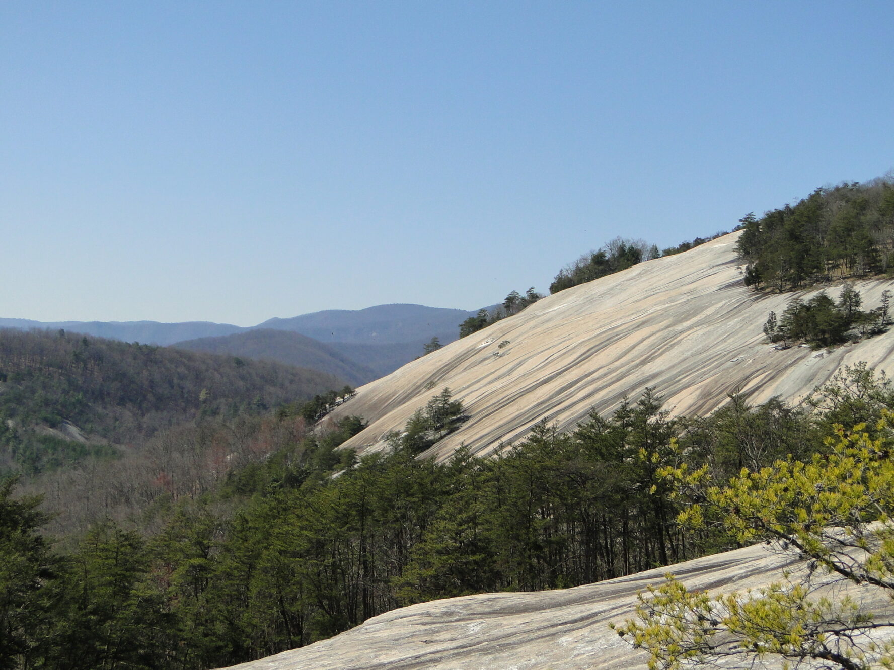 The granite dome of Stone Mountain juts out of the forest below.