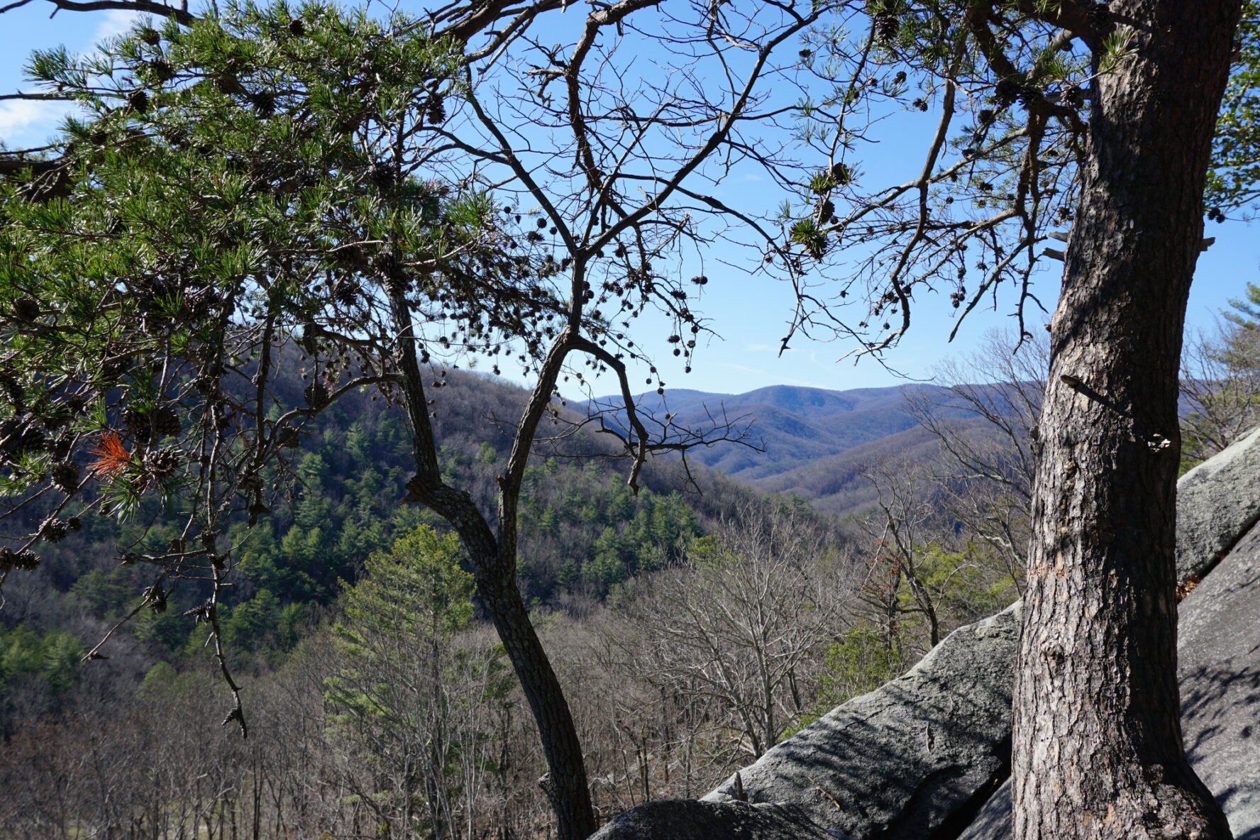 Gorgeous views of the rolling Blue Ridge Mountains from the Tree Ledge on Stone Mountain.