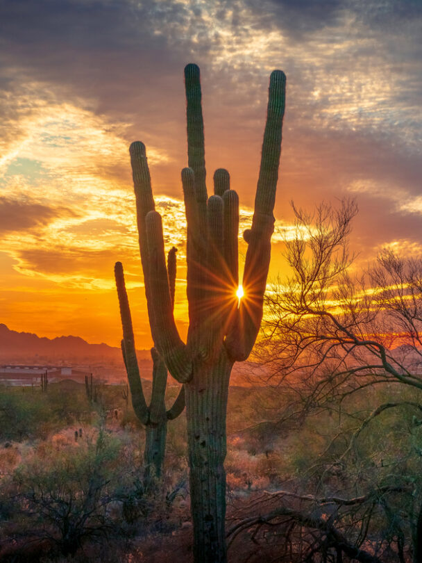 Hiking in Saguaro National Park, Arizona