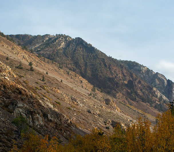 Group Climbing Courses in the Owens River Gorge