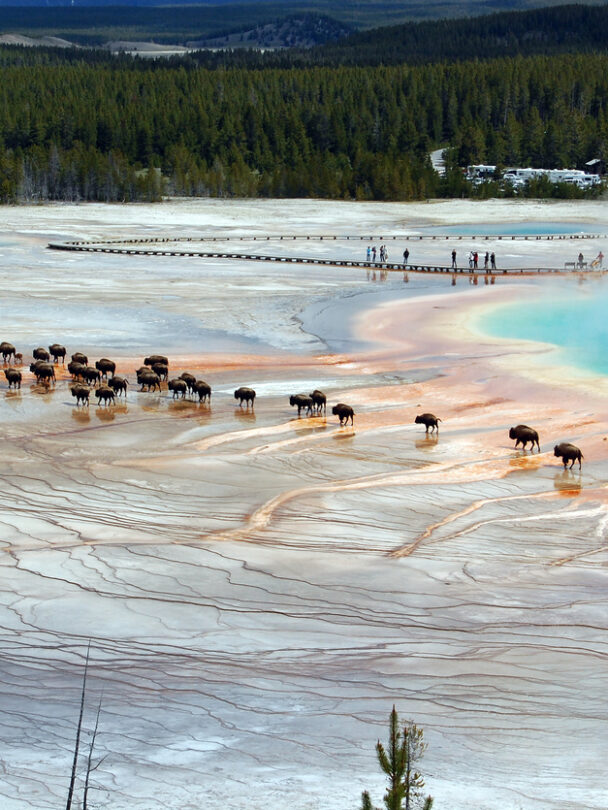 Couple relaxing and enjoying beautiful view of hot spring on vacation hiking trip. Beautiful Yellowstone Lake in the background and hot spring in foreground. Yellowstone National Park. Wyoming, USA