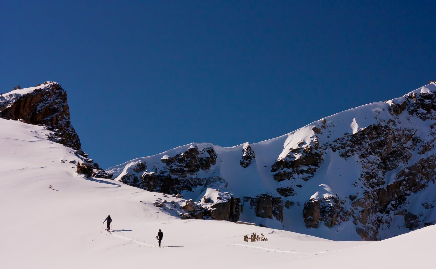 Jackson Hole has over 200 bluebird days!