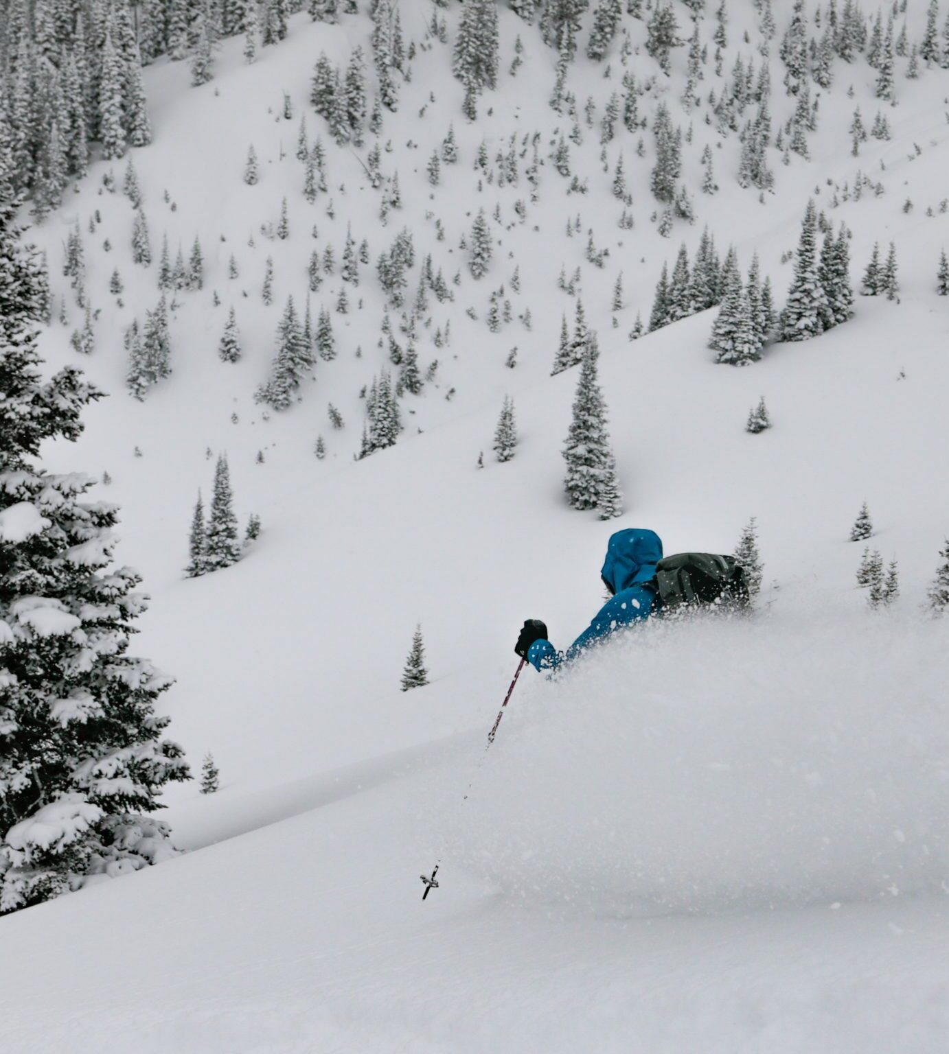 Skiing deep pow in the tree glades