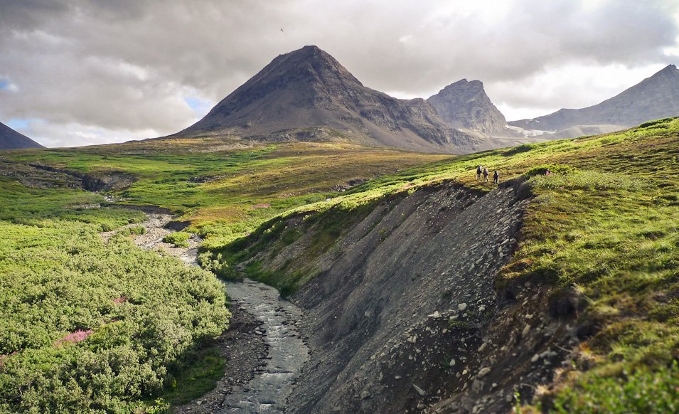 A valley in Denali