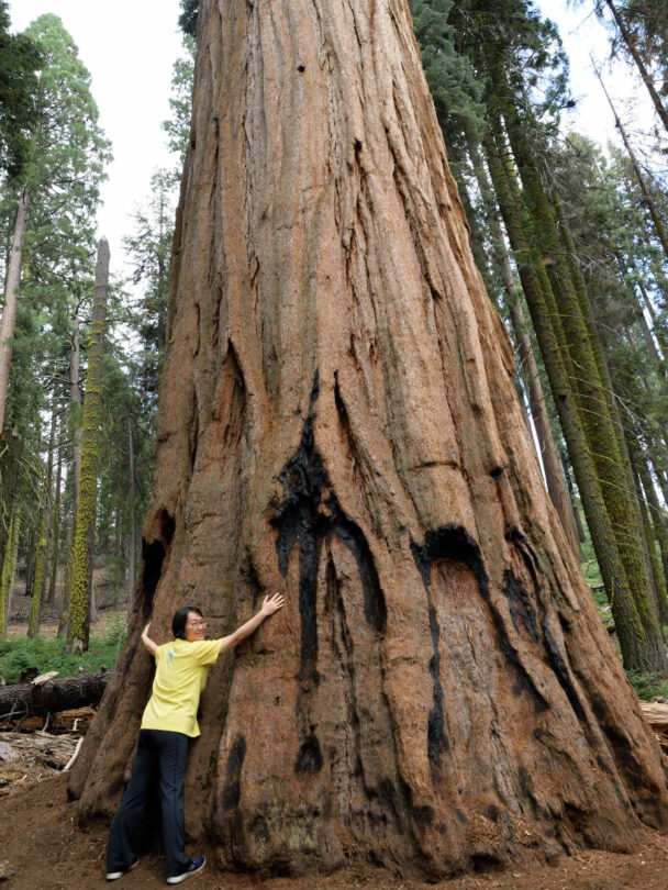 Hiking in Sequoia and Kings Canyon National Parks, California
