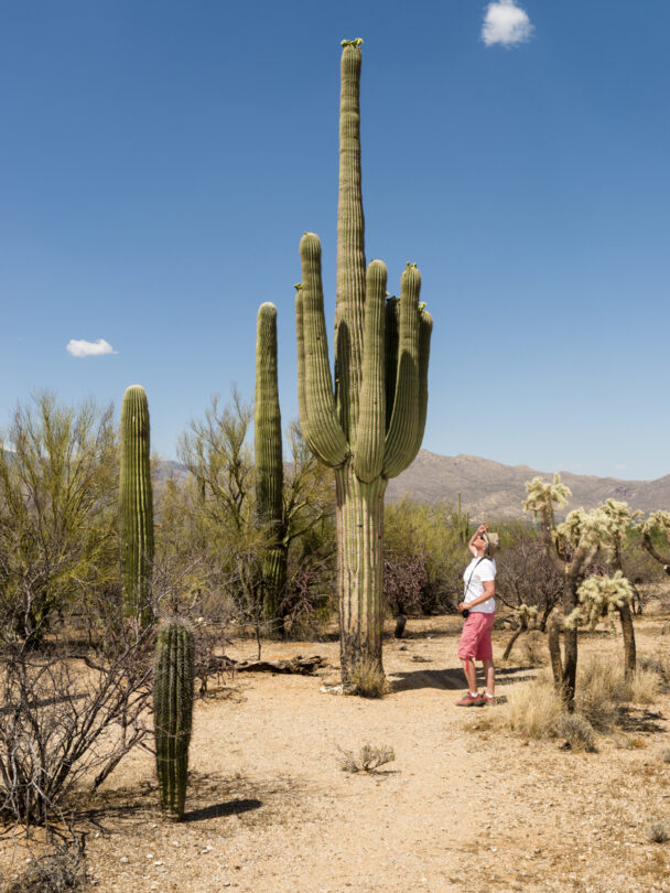Hiking in Saguaro National Park, Arizona