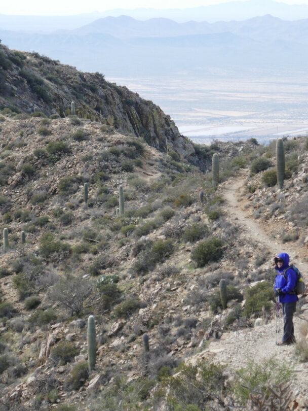 Hiking in Saguaro National Park, Arizona