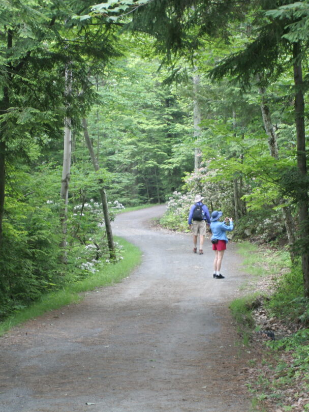 Hiking in the Shawangunks Mountains, New York, with a guide