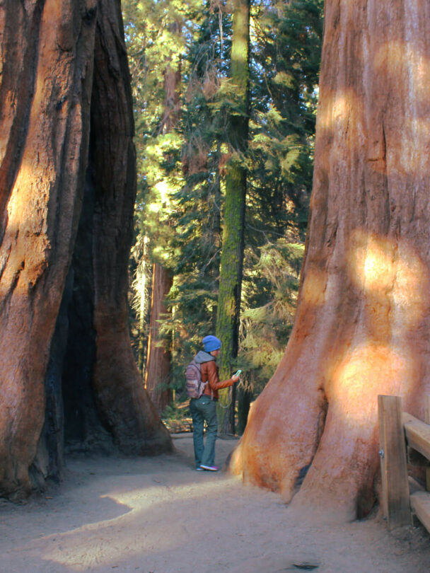 Hiking in Sequoia and Kings Canyon National Parks, California