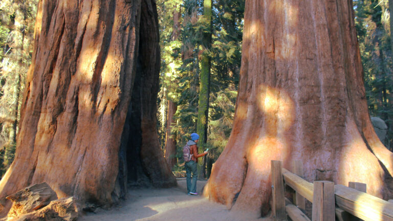 Hiking in Sequoia and Kings Canyon National Parks, California