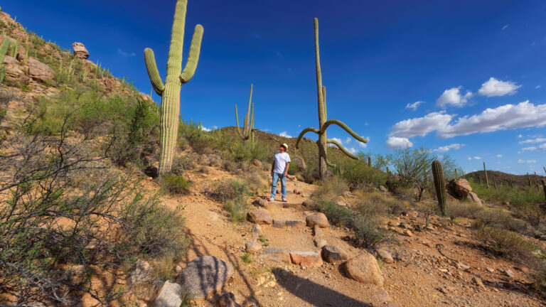 Hiking in Saguaro National Park, Arizona
