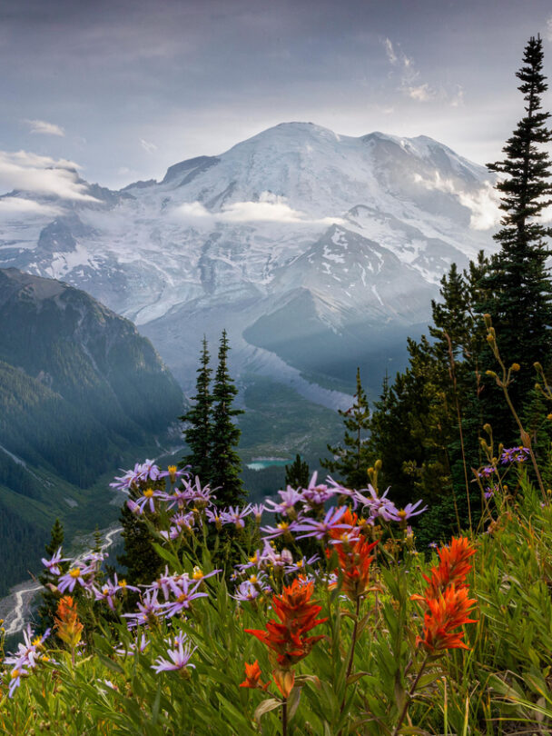 Hiking in Mount Rainier and Olympic National Parks - m