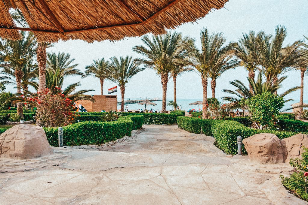 Palm trees and scenery in Hurghada, Egypt