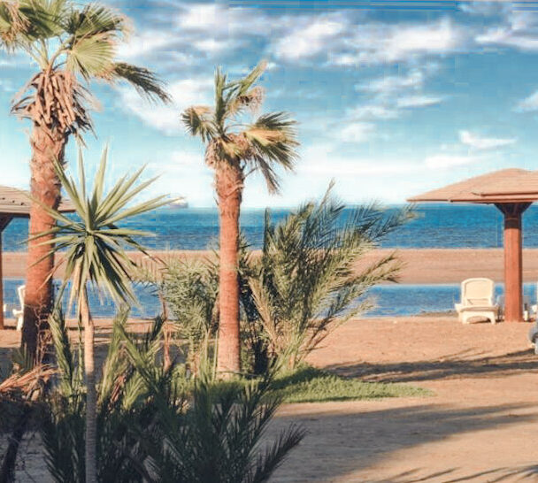 Kitesurfing camp in Safaga, Egypt