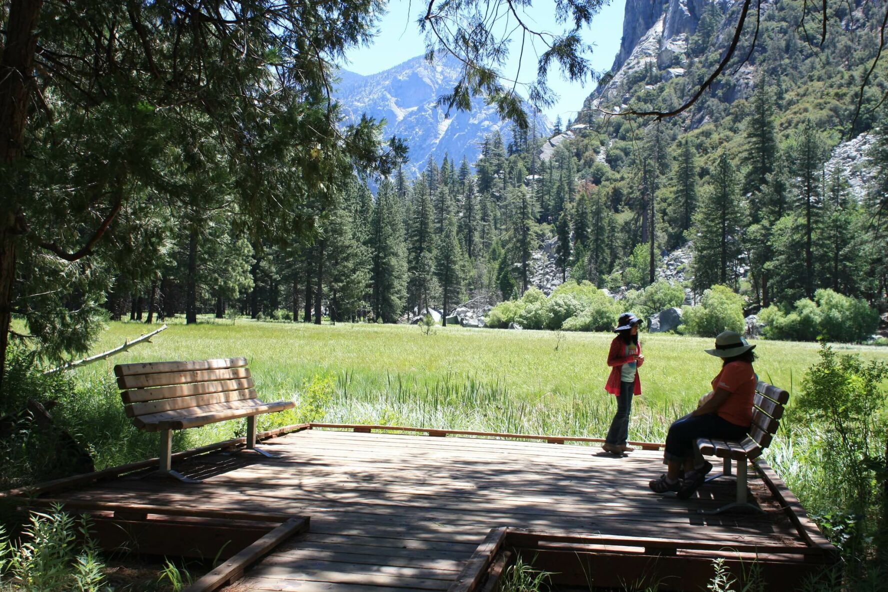 Zumwalt Meadow in Kings Canyon National Park