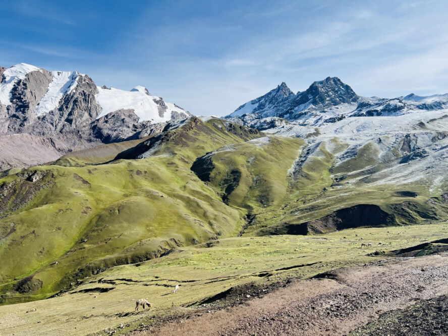 Greenery subsists on Rainbow Mountain in Peru at altitudes above 5,000 meters because of how close it is to the Equator.