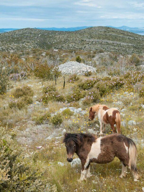 Mountain biking along the captivating Croatian coast