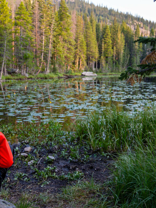 Hiking Tours in Estes Park, Colorado