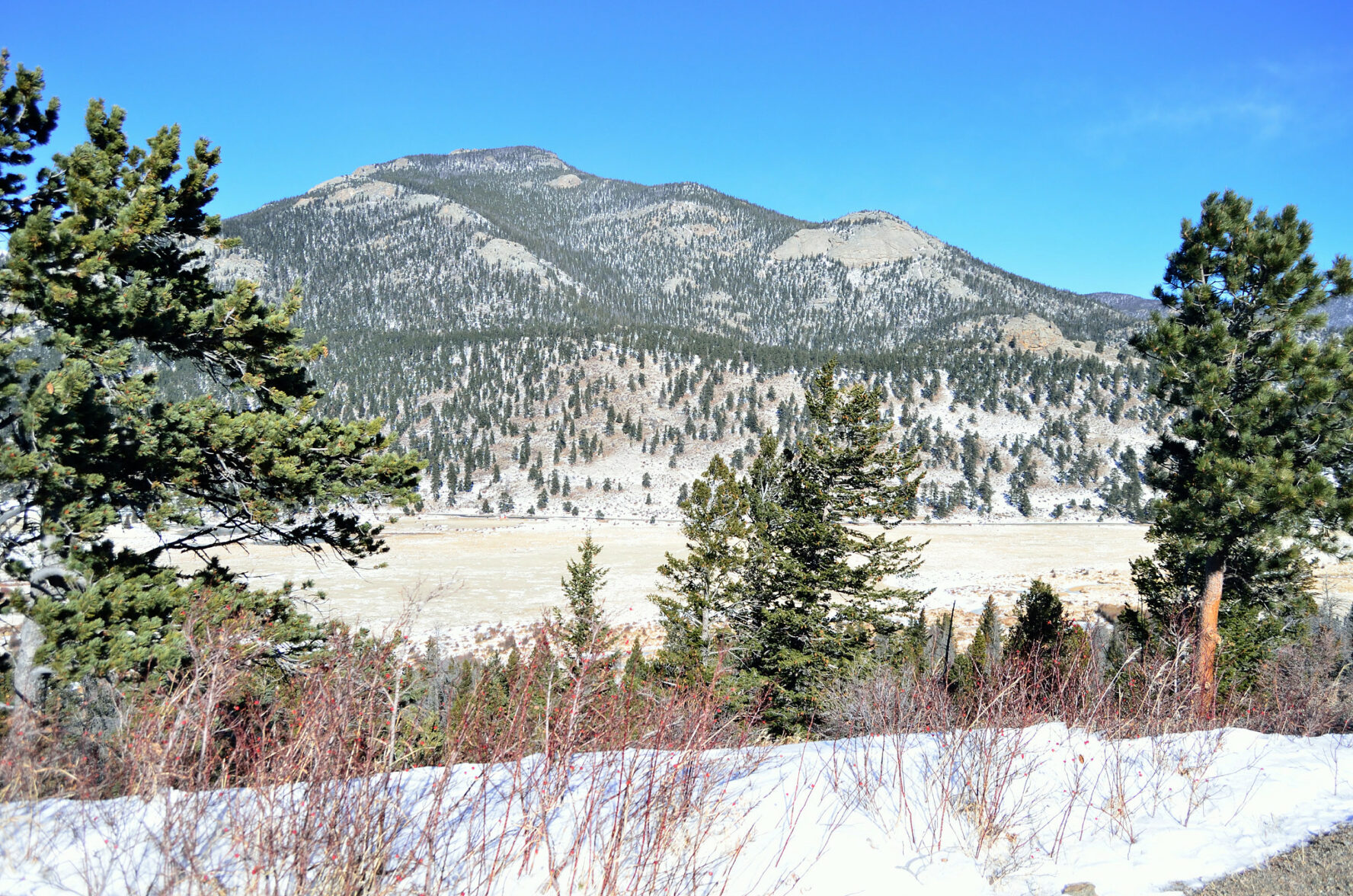 Estes Park, scenery