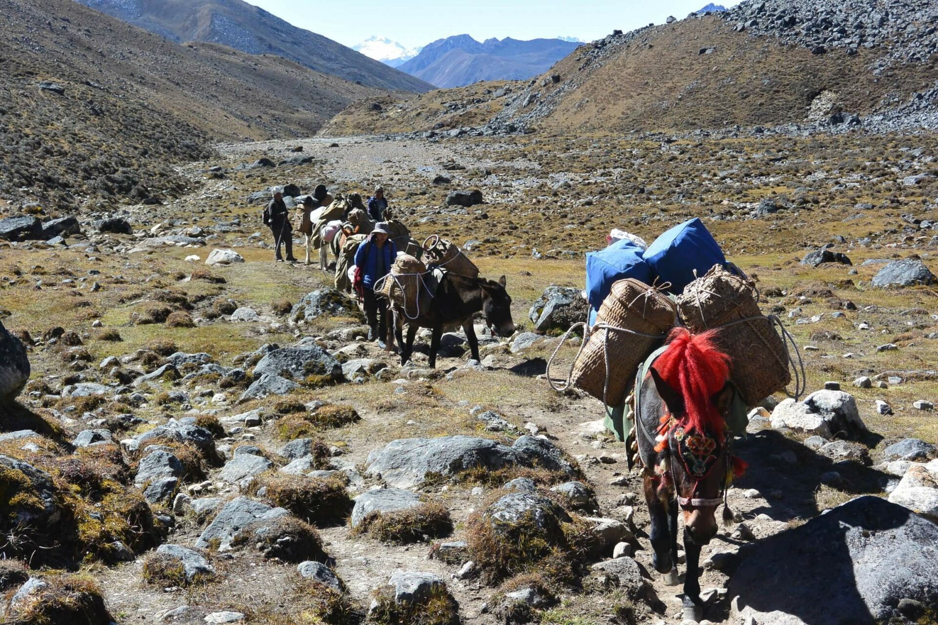 Hiking the Druk Path trek in Bhutan