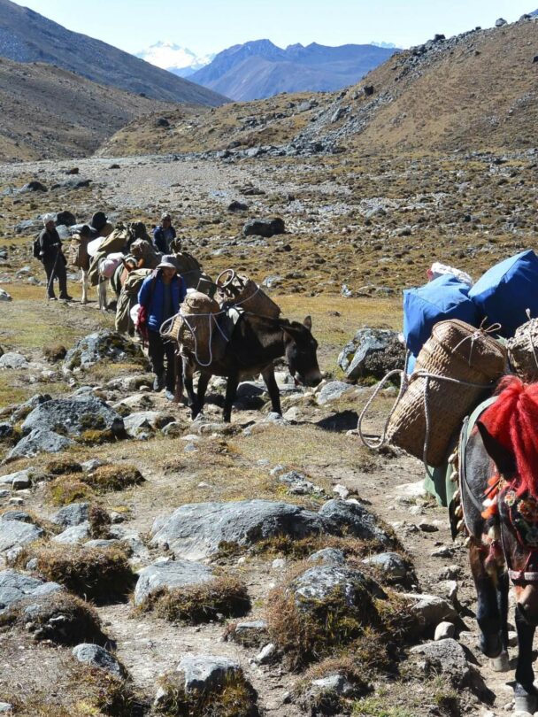 Hiking the Druk Path trek in Bhutan