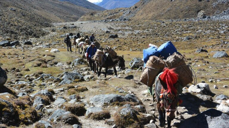 Hiking the Druk Path trek in Bhutan