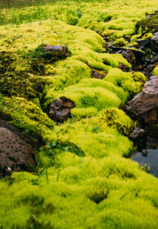 Iceland is full of mountains and valleys with green tones.