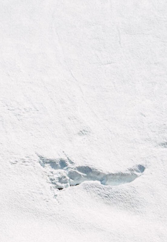 Iceland and snow go hand-in-hand, so expect a lot of white tones on your journey.