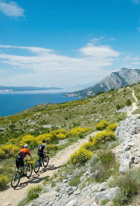 Biking on a MTB trail along the coast with jaw-dropping views of the sea in the background