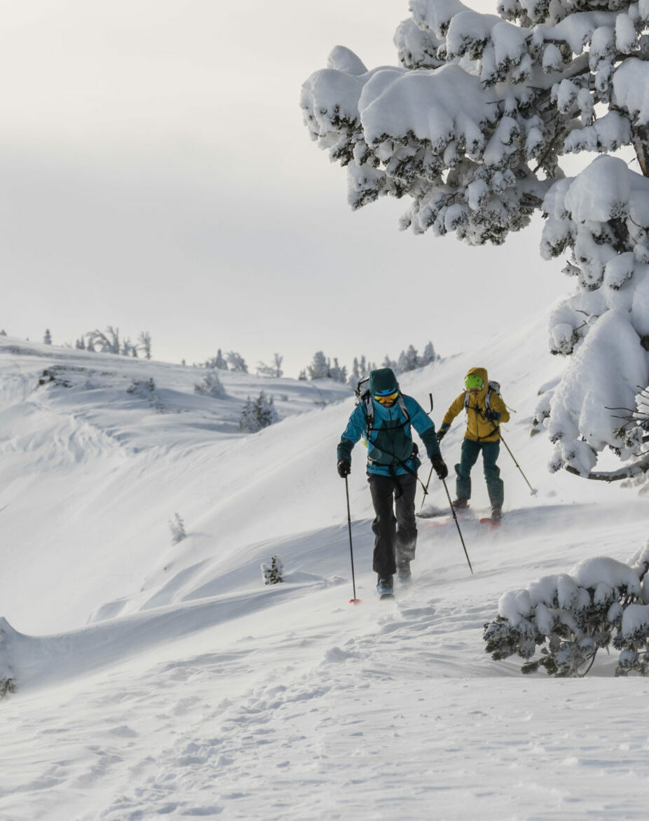 Jackson Hole Mountain Guides