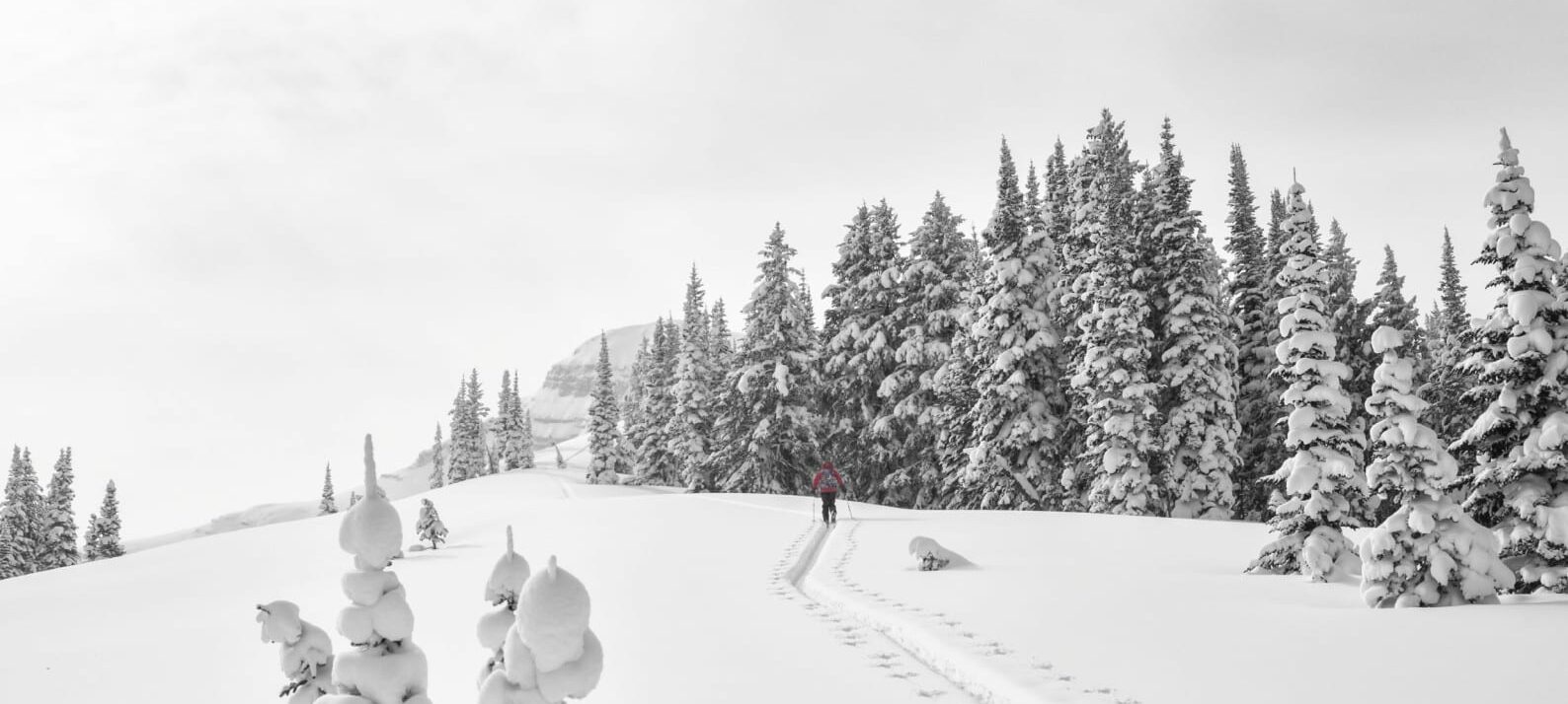 Vast snowy terrain in Jackson Hole, Wyoming