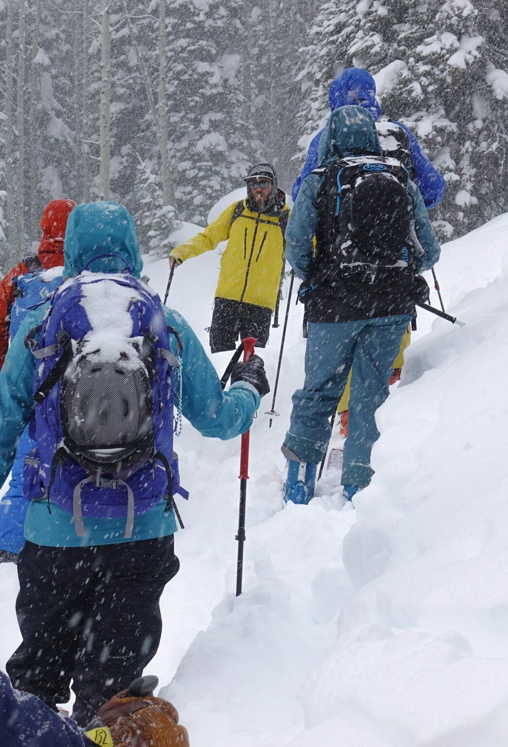 Guide will take you from the trailhead into the wild untracked backcountry and safely navigate you to the best powder stashes
