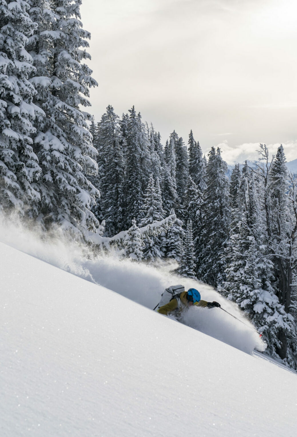 A man shredding powder in the Jackson wilderness