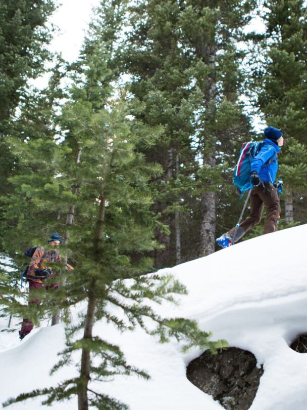 Avalanche Level 1 refresher course in Estes Park