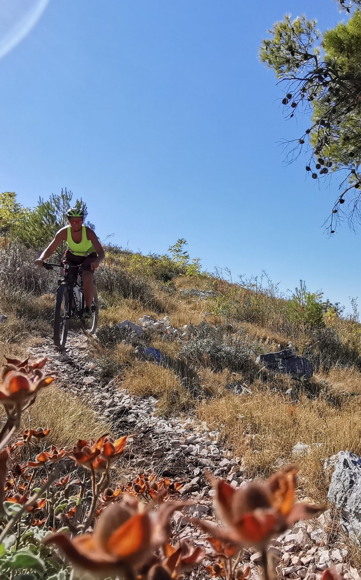 Mountain biking on Ciovo