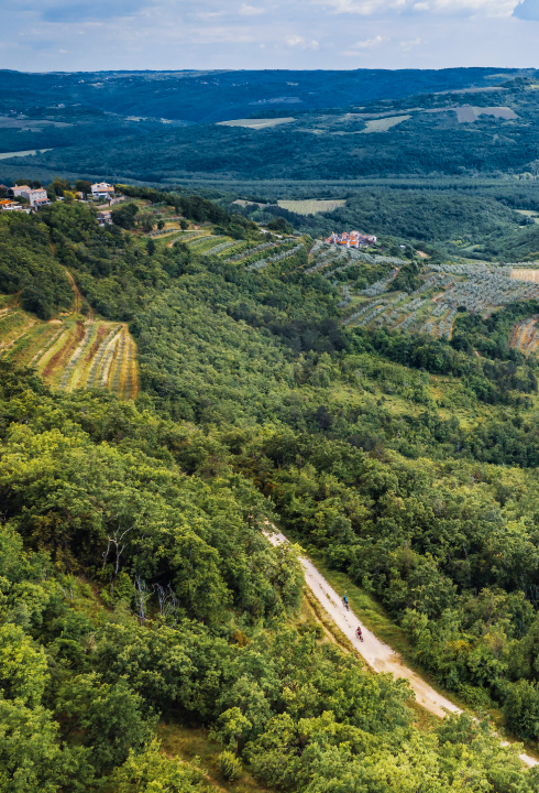 Mountain biking in the picturesque countryside of Istria.