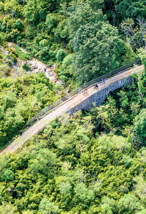 Cycling in the breathtaking Istria.